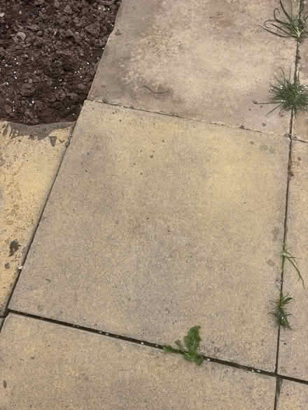 Photo of free Slabs - 600x600mm (Wellington, somerset) #1