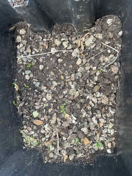 Photo of free Garden stones (Hartington Road BN2) #1