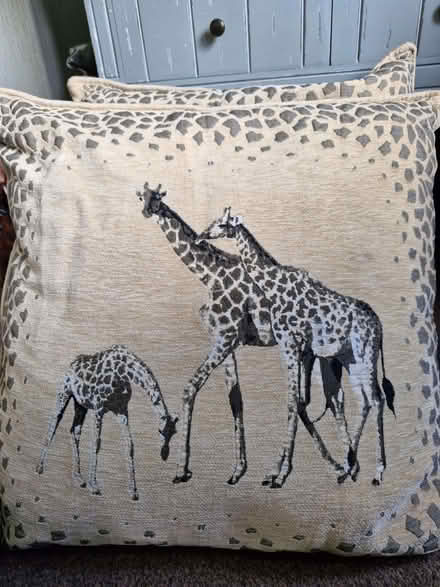 Photo of free Cushions (Currie EH14) #1