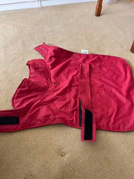 Photo of free Waterproof dog coat (Blacklands TN34) #1