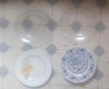 Photo of free Dinner plates (Stockport SK3.) #1