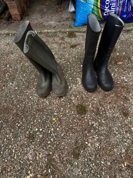 Photo of free Wellington boots (Surrey Heath GU15) #1