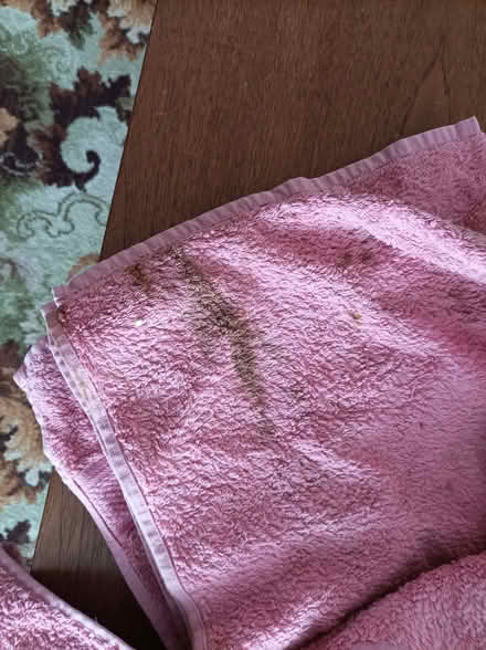Photo of free Bath Towels - Stained (Seaside BN23) #2