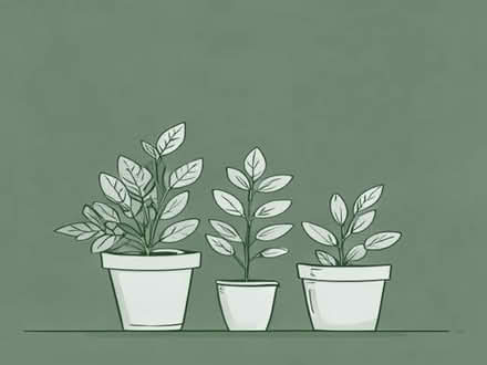 Photo of Plants and pots (Keynsham Memorial Park BS31) #1