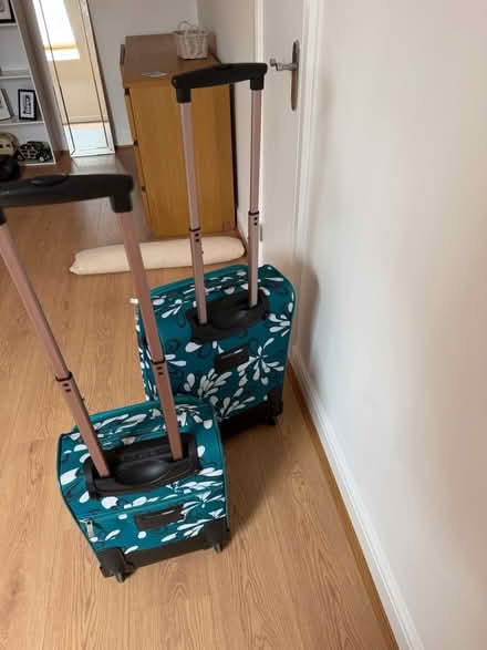 Photo of free x2 TRIPP floral suitcases (CH66) #4