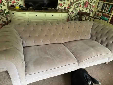 Photo of free Pair of dusty pink sofas (Wiveliscombe TA4) #1