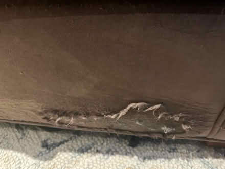 Photo of free Custom Made Sofa with Dome Damage (Rockville near Bethesda) #2