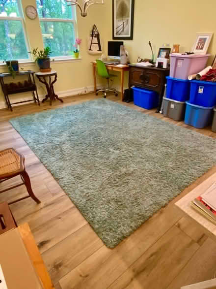 Photo of free Shag rug 7 x 9 ft (Beverly Hills , Florida) #1