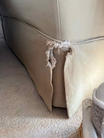Photo of free Couch and loveseat (Lovettsville) #3