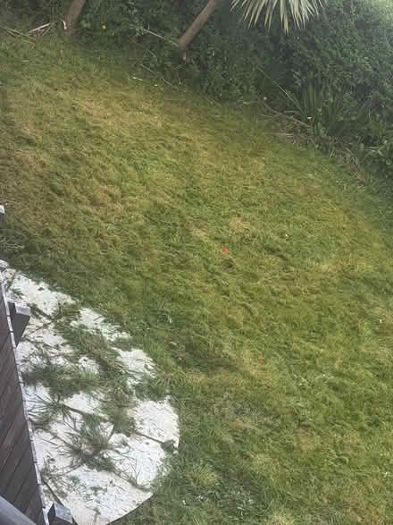 Photo of free Garden paving (Belfast) #1