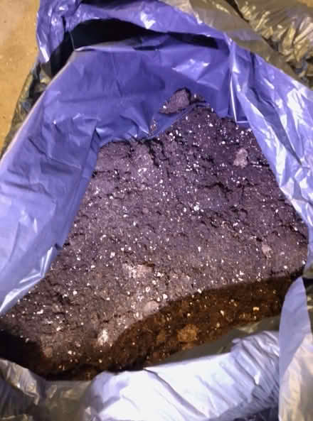 Photo of free Coco Soil (Cutler Heights BD4) #1
