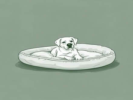 Photo of Dog medium bed (Henley-in-Arden B95) #1