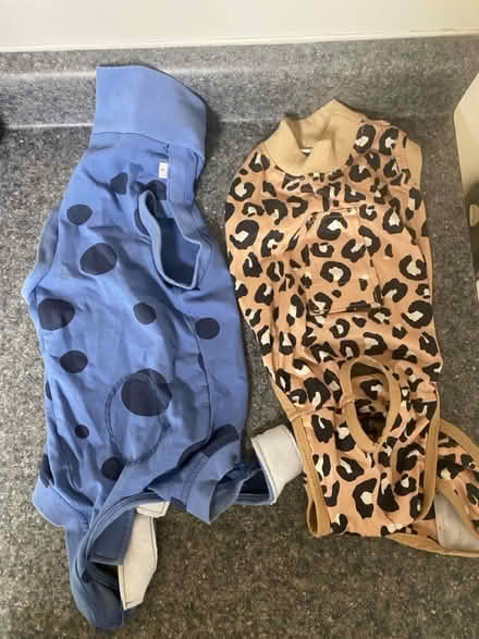 Photo of free Dog accessories Small (Crownsville/Gambrills/Crofton) #2