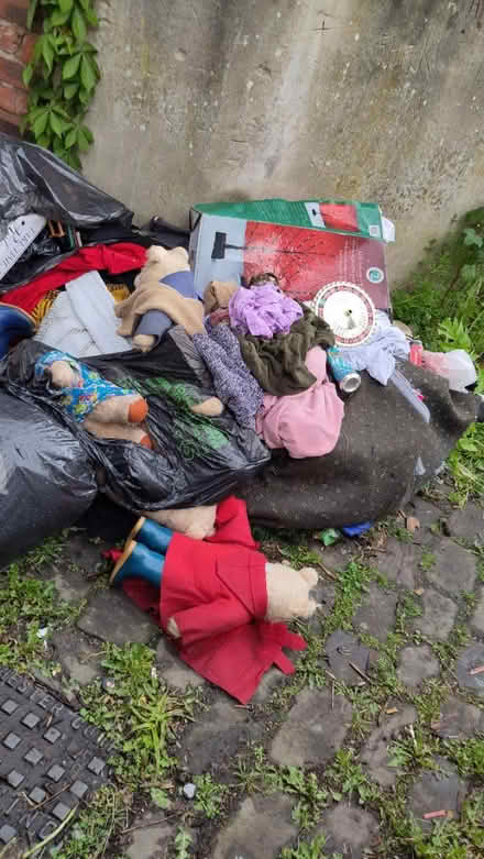 Photo of free Vintage teddy bears (Levenshulme M19) #1