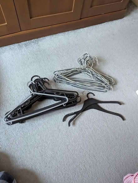 Photo of free Coat hangers (Edmonton N18) #1