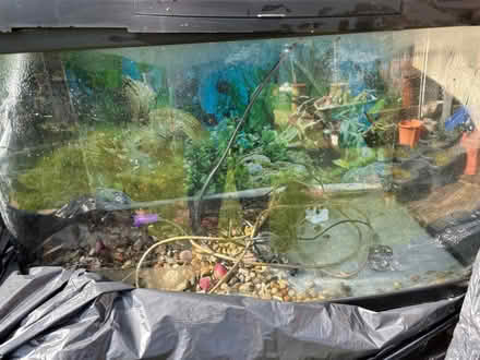 Photo of free Fish Tank Large Moulded Glass (Pangbourne RG8) #1