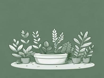 Photo of Garden plants/trees (Anglesey LL65) #1