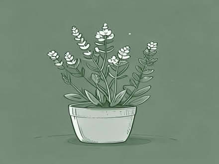 Photo of Perennial Plants And Gardening (Warminster BA12) #1