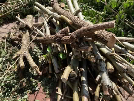 Photo of free pile of wood for wood burner or to use in garden (Hallcroft DN22) #1