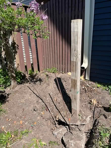 Photo of free Compost you nee (White Bear lake) #1
