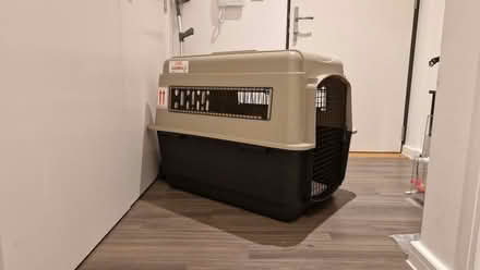 Photo of free Large Dog Carrier (Acton W3) #4