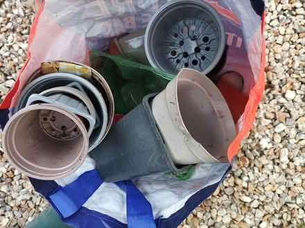 Photo of free Load of small plastic plant pots (Wymondham) #1