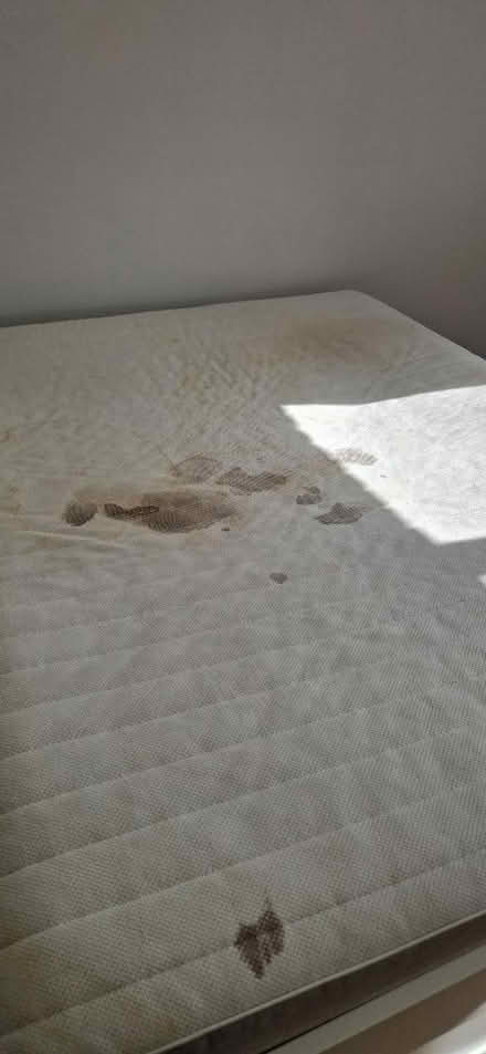 Photo of free IKEA Sultan King size mattress (NW7 2DF) #2