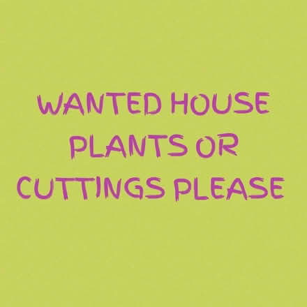 Photo of House Plants Or Cuttings (Cliftonville CT9) #1