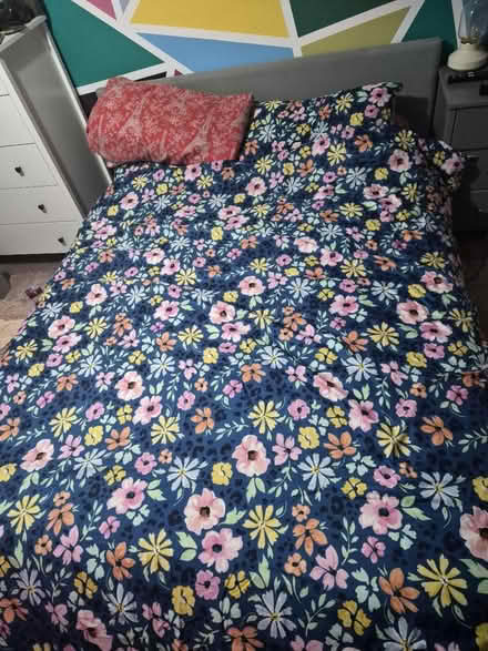 Photo of free Under storage king size bed (LE77AD) #1