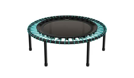 Photo of Trampoline / Rebounder (Windsor Terrace) #1