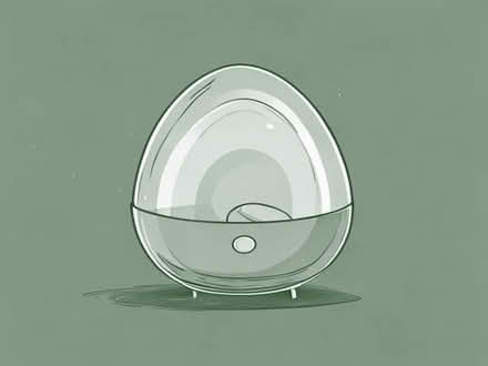 Photo of Egg Incubator for Hen Eggs (Caernarfon LL55) #1