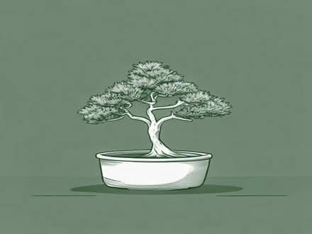 Photo of Bonsai pots and trays (Kendal LA9) #1
