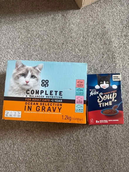 Photo of free Cat Soup And Food (South Yorkshire S60) #1