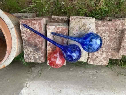 Photo of free Glass plant ornament (Blacklands TN34) #1