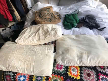 Photo of free Pillows (Hackney E5) #1