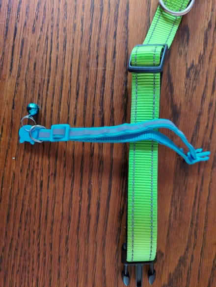 Photo of free Cat collar and dog collar (Botley OX2) #3