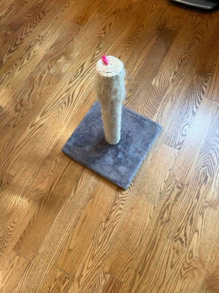 Photo of free Cat tower with toy (Near 11 and Woodward) #1
