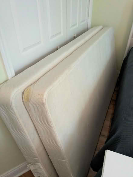 Photo of free Box Springs (Grafton, Ma) #1