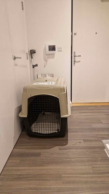 Photo of free Large Dog Carrier (Acton W3) #2