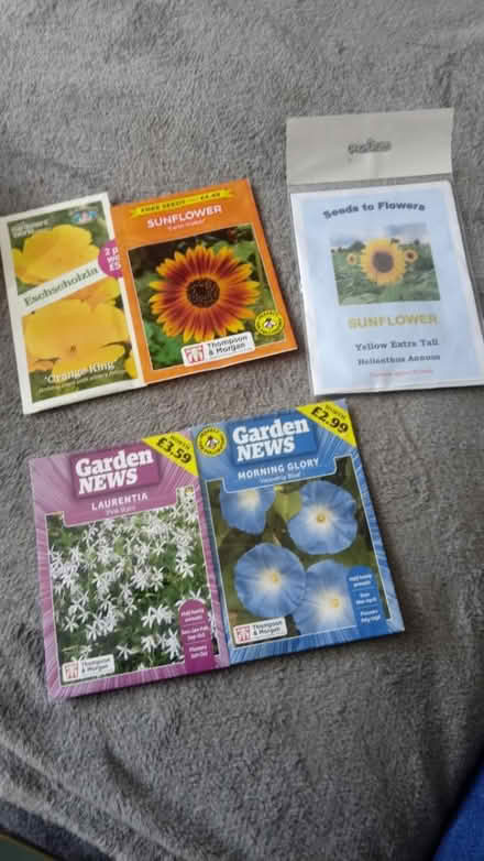 Photo of free Veg and flower seeds (Horsham, near Bennetts Field) #2