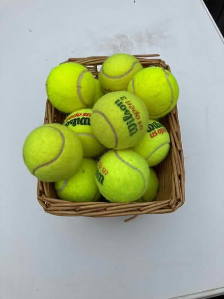 Photo of free Tennis Balls (Catchgate Plantation NN12) #1