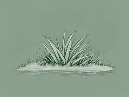 Photo of Grass mats (Allithwaite LA11) #1