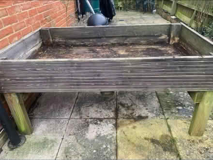 Photo of free Plant bed (Winchmore Hill HP7) #3