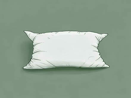 Photo of free Pillow (Rhiwlas LL57) #1