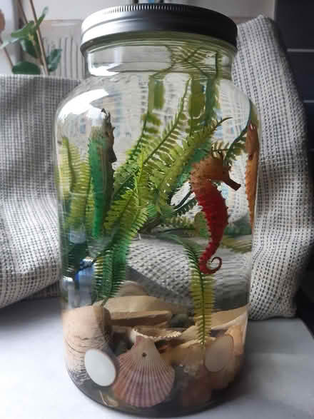 Photo of free 3 seahorses water-art installation (Edinburgh EH17) #2