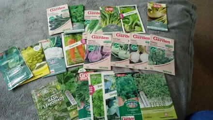 Photo of free Veg and flower seeds (Horsham, near Bennetts Field) #1