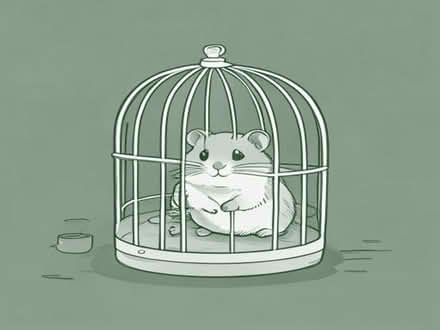Photo of Hamster cage and accessories (Vicars Cross CH2) #1