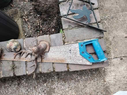 Photo of free Saw (Matlock DE4) #1