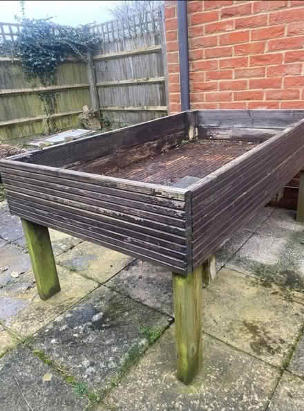 Photo of free Plant bed (Winchmore Hill HP7) #2
