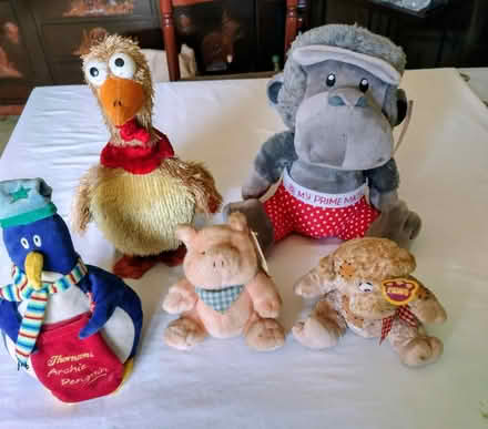 Photo of free 5 soft toys (Hereford HR4) #1